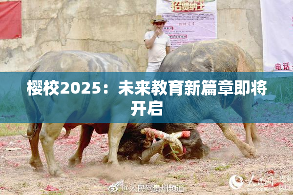 樱校2025：未来教育新篇章即将开启