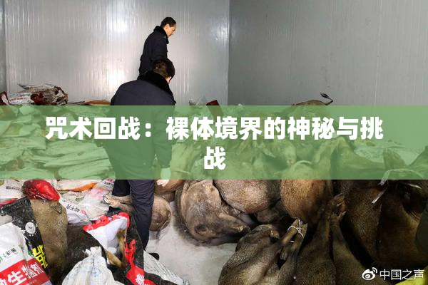 咒术回战：裸体境界的神秘与挑战