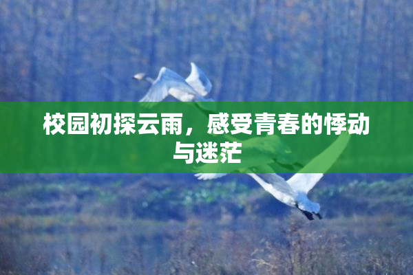 校园初探云雨，感受青春的悸动与迷茫