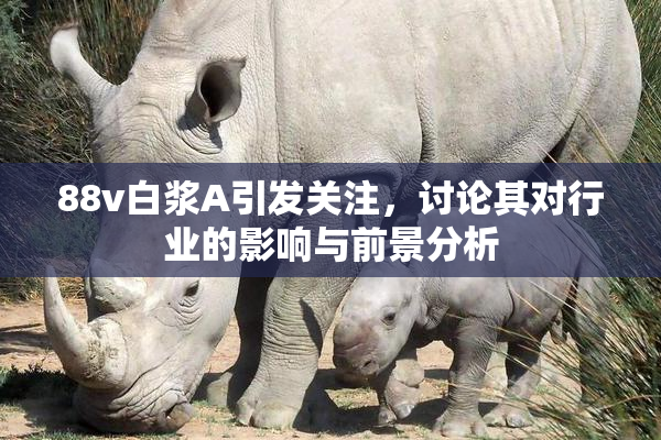 88v白浆A引发关注，讨论其对行业的影响与前景分析