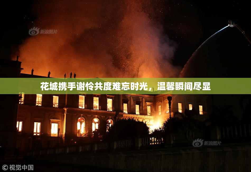 花城携手谢怜共度难忘时光，温馨瞬间尽显