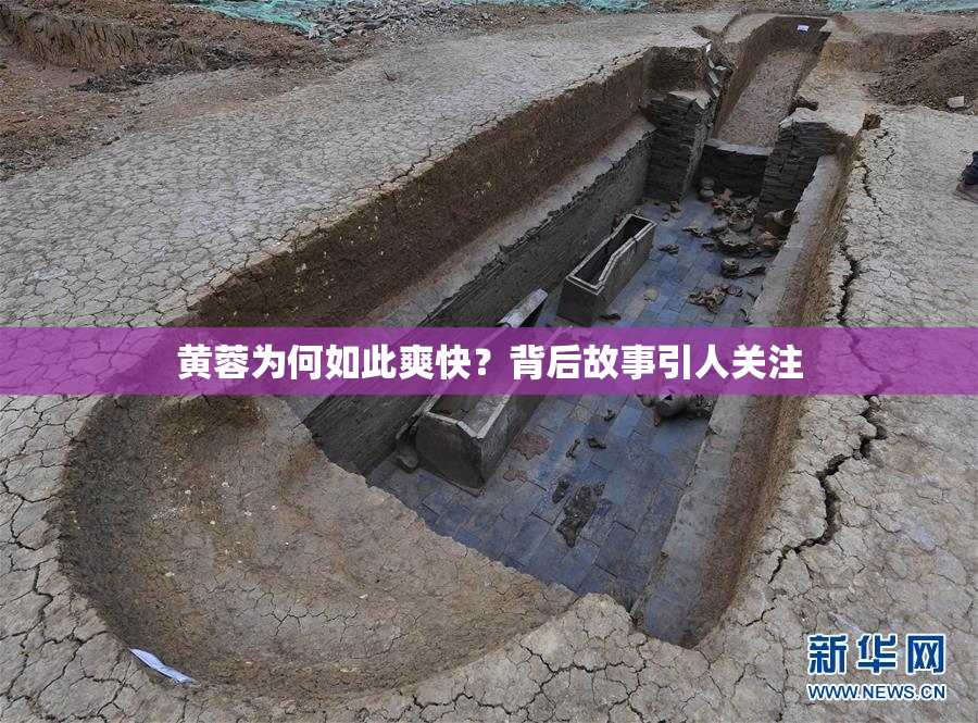 黄蓉为何如此爽快？背后故事引人关注