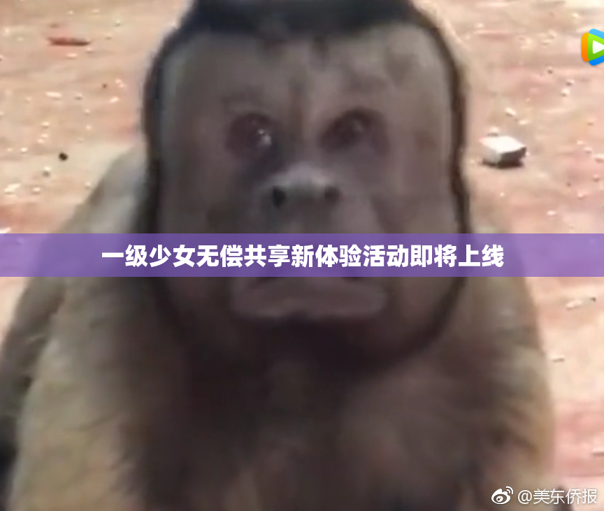 一级少女无偿共享新体验活动即将上线