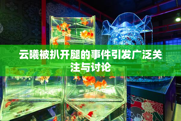 云曦被扒开腿的事件引发广泛关注与讨论