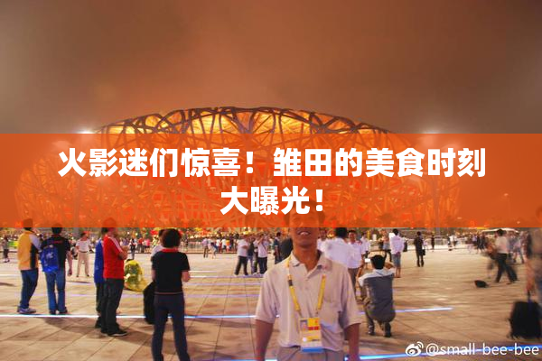 火影迷们惊喜！雏田的美食时刻大曝光！