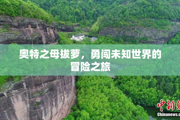 奥特之母拔萝，勇闯未知世界的冒险之旅