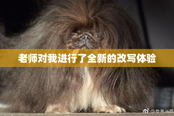 老师对我进行了全新的改写体验