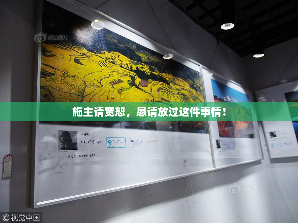 施主请宽恕，恳请放过这件事情！