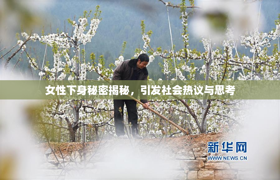 女性下身秘密揭秘，引发社会热议与思考