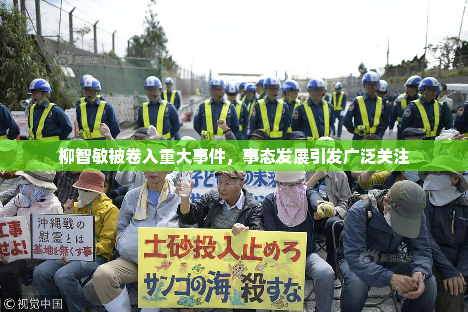柳智敏被卷入重大事件，事态发展引发广泛关注