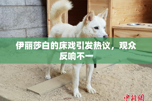 伊丽莎白的床戏引发热议，观众反响不一