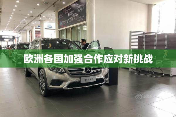 欧洲各国加强合作应对新挑战