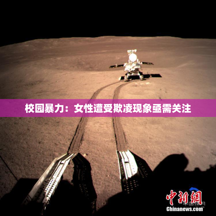校园暴力：女性遭受欺凌现象亟需关注