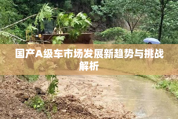 国产A级车市场发展新趋势与挑战解析