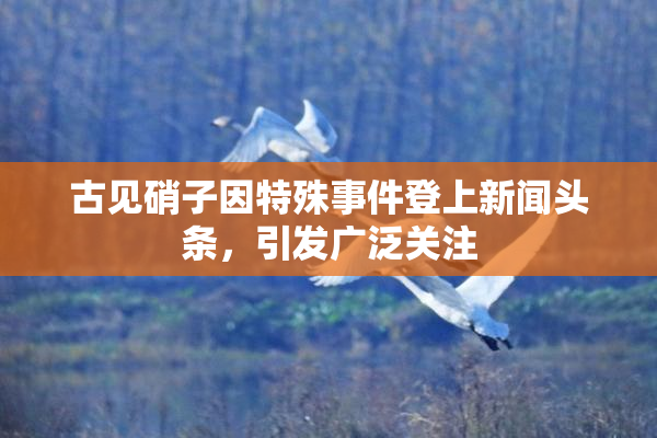 古见硝子因特殊事件登上新闻头条，引发广泛关注