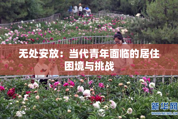 无处安放：当代青年面临的居住困境与挑战