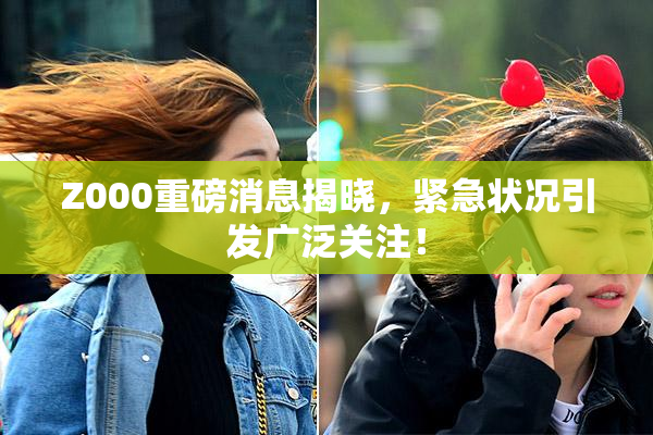 Z000重磅消息揭晓，紧急状况引发广泛关注！