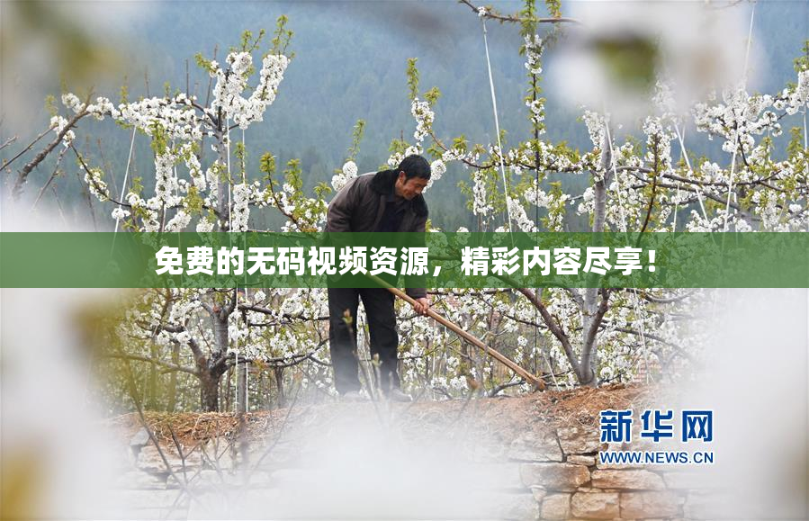 免费的无码视频资源，精彩内容尽享！
