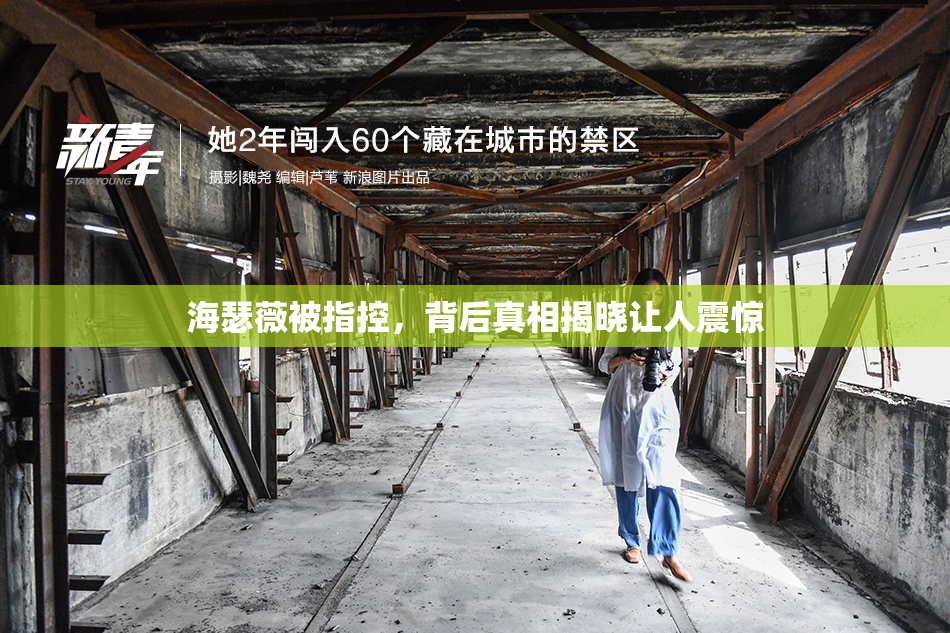 海瑟薇被指控，背后真相揭晓让人震惊