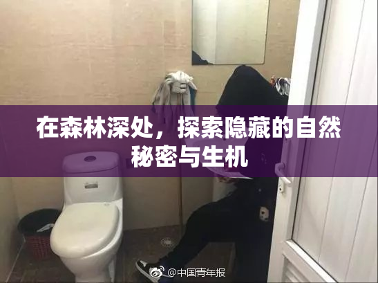 在森林深处，探索隐藏的自然秘密与生机