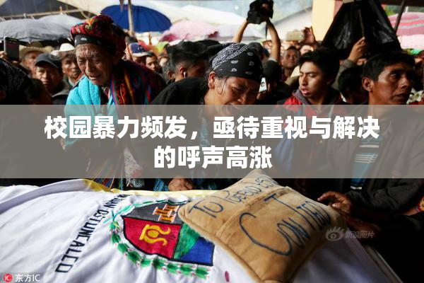 校园暴力频发，亟待重视与解决的呼声高涨