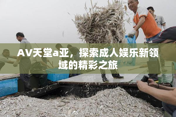 AV天堂a亚，探索成人娱乐新领域的精彩之旅