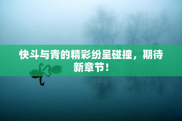 快斗与青的精彩纷呈碰撞，期待新章节！