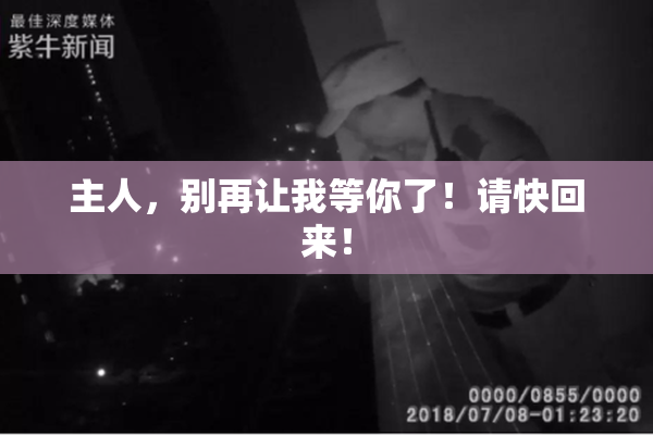 主人，别再让我等你了！请快回来！