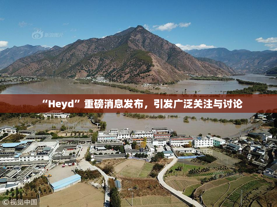“Heyd”重磅消息发布，引发广泛关注与讨论