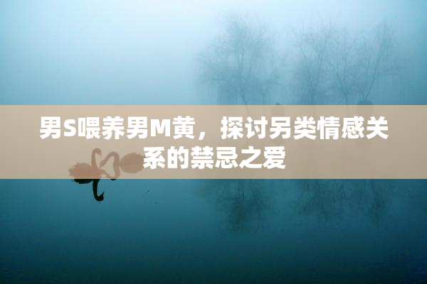 男S喂养男M黄，探讨另类情感关系的禁忌之爱