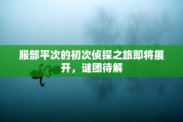 服部平次的初次侦探之旅即将展开，谜团待解