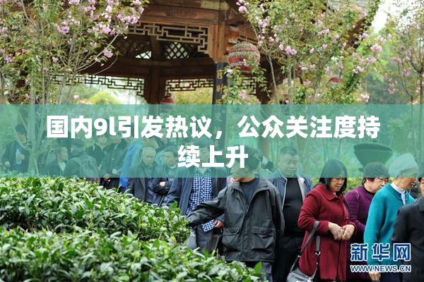 国内9l引发热议，公众关注度持续上升