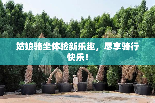 姑娘骑坐体验新乐趣，尽享骑行快乐！