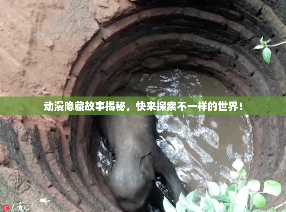 动漫隐藏故事揭秘，快来探索不一样的世界！