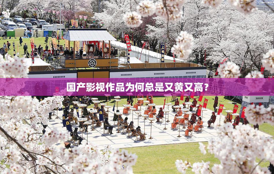 国产影视作品为何总是又黄又高？