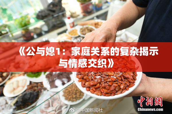 《公与媳1：家庭关系的复杂揭示与情感交织》