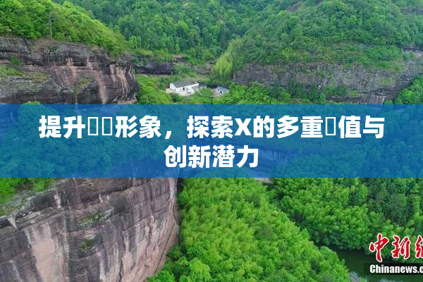 提升國產形象，探索X的多重價值与创新潜力