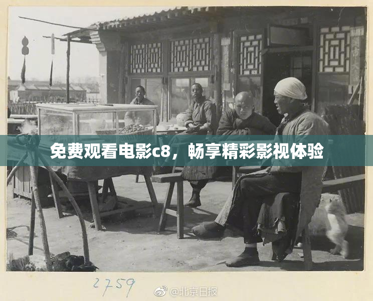 免费观看电影c8，畅享精彩影视体验