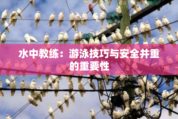 水中教练：游泳技巧与安全并重的重要性