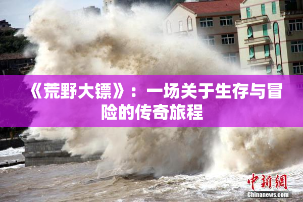 《荒野大镖》：一场关于生存与冒险的传奇旅程