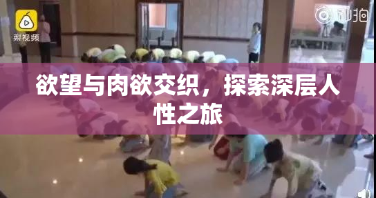 欲望与肉欲交织，探索深层人性之旅