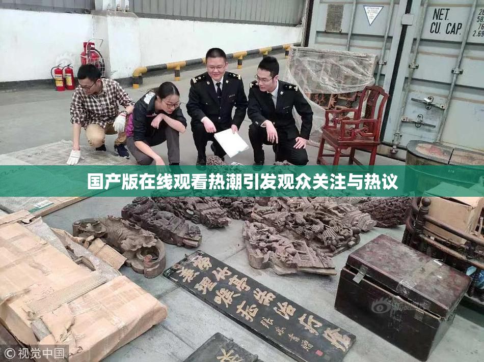 国产版在线观看热潮引发观众关注与热议