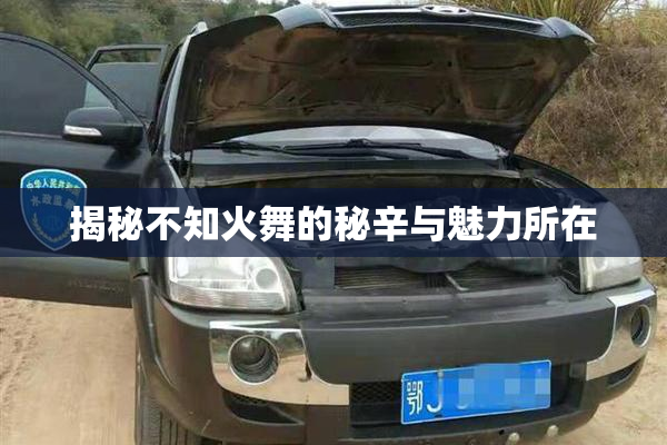 揭秘不知火舞的秘辛与魅力所在