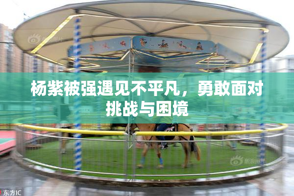 杨紫被强遇见不平凡，勇敢面对挑战与困境