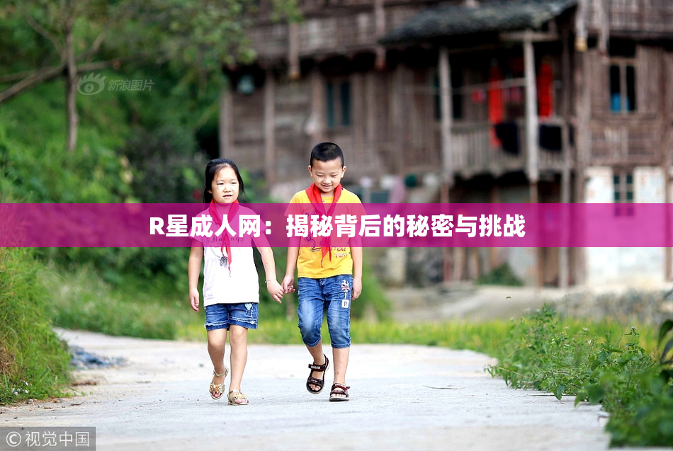 R星成人网：揭秘背后的秘密与挑战