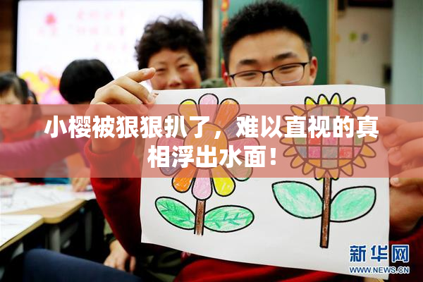 小樱被狠狠扒了，难以直视的真相浮出水面！