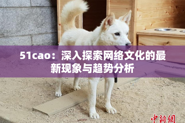 51cao：深入探索网络文化的最新现象与趋势分析