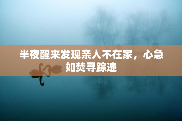 半夜醒来发现亲人不在家，心急如焚寻踪迹