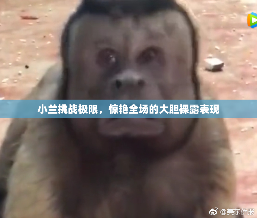小兰挑战极限，惊艳全场的大胆裸露表现