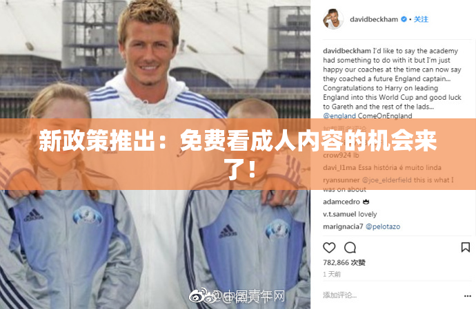 新政策推出：免费看成人内容的机会来了！